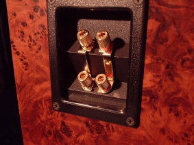the only loudspeaker in the world like this, and it's bi-wired with 24k gold plated terminals